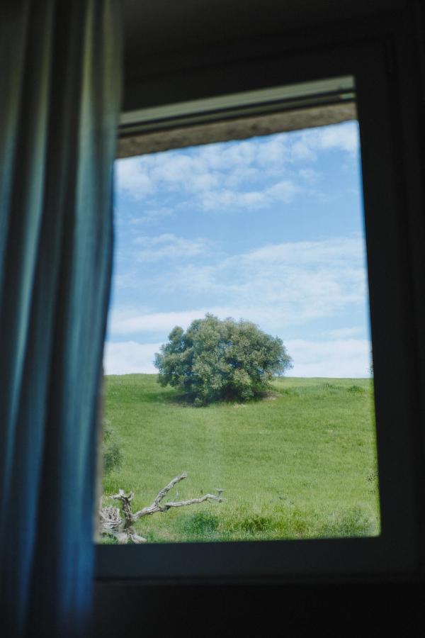 Monna Terra B&B Фермо Экстерьер фото